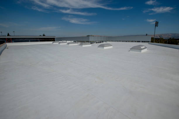 Best Roof Leak Repair  in Blissfield, MI