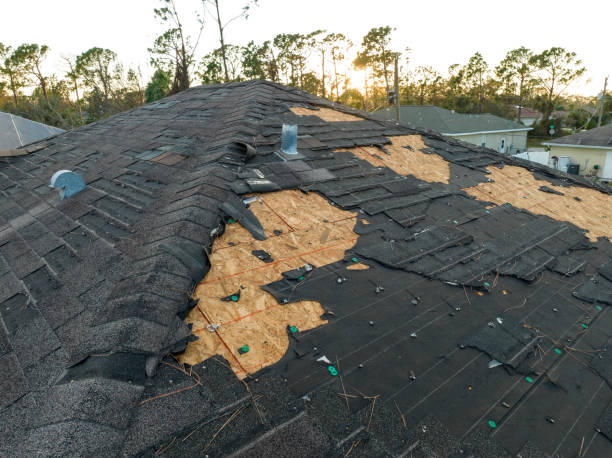 Fast & Reliable Emergency Roof Repairs in Blissfield, MI