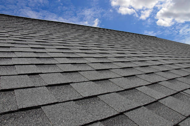 Best Storm Damage Roof Repair  in Blissfield, MI