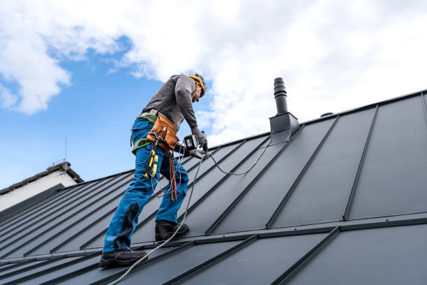 Best Flat Roofing  in Blissfield, MI